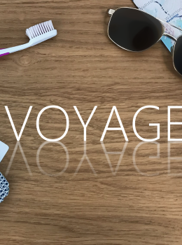 Voyager